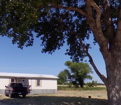Mobile home under mature shade trees at Stoney Acres RV Park near Denton